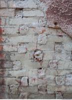 Photo Texture of Wall Brick 0007
